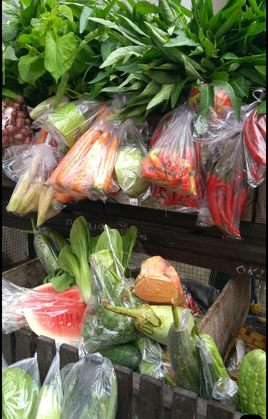 Sayur Asongan (baron lor)